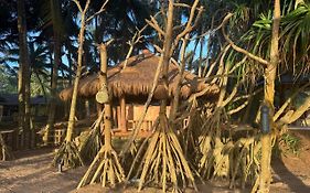 Coconut Bar
