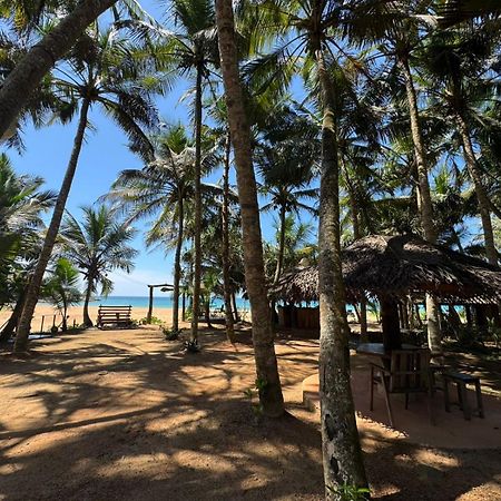 Coconut Bar Hotel Bentota Exterior photo