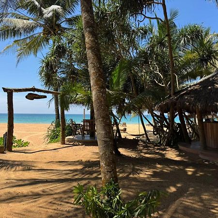 Coconut Bar Hotel Bentota Exterior photo