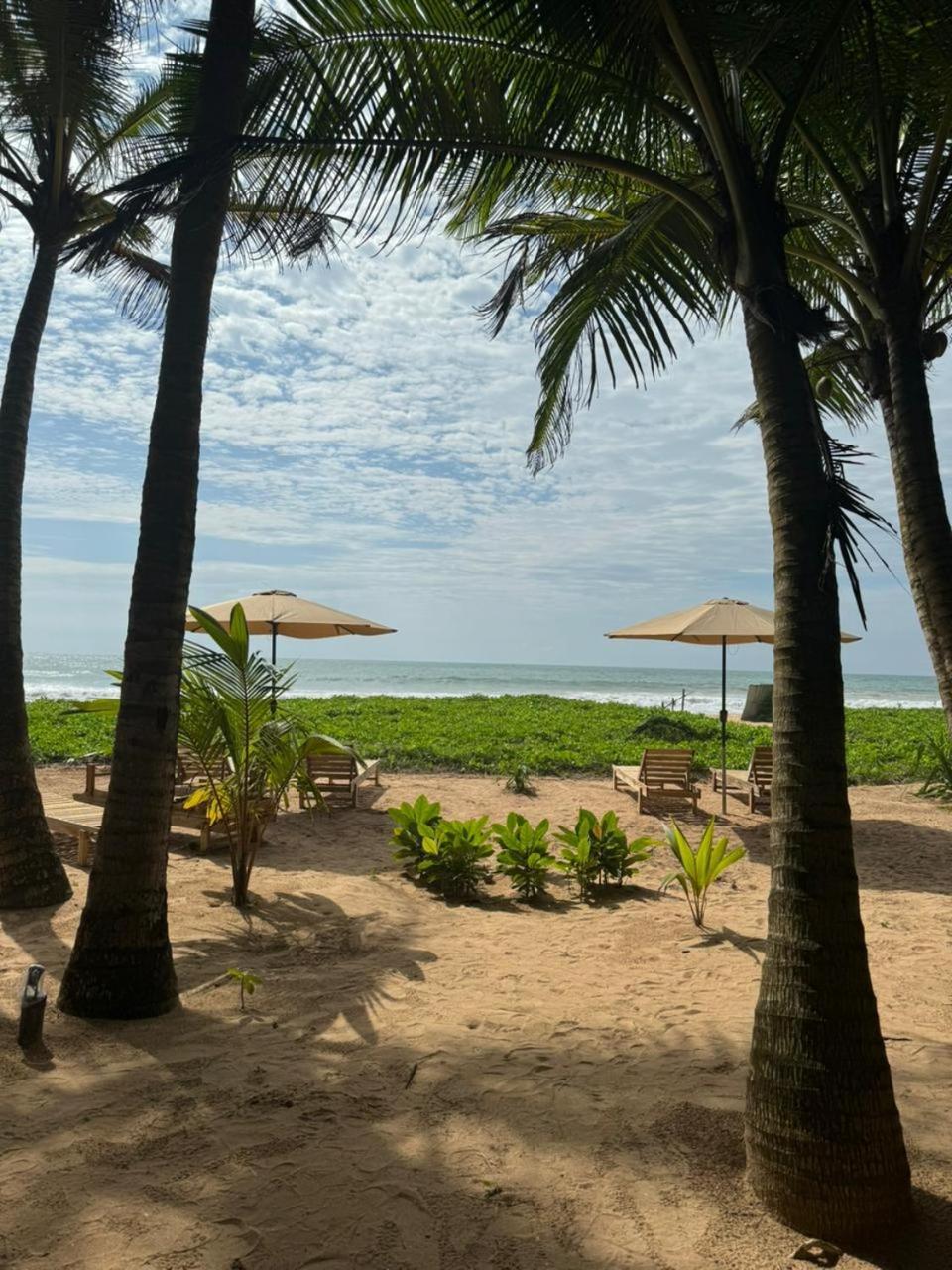 Coconut Bar Hotel Bentota Exterior photo