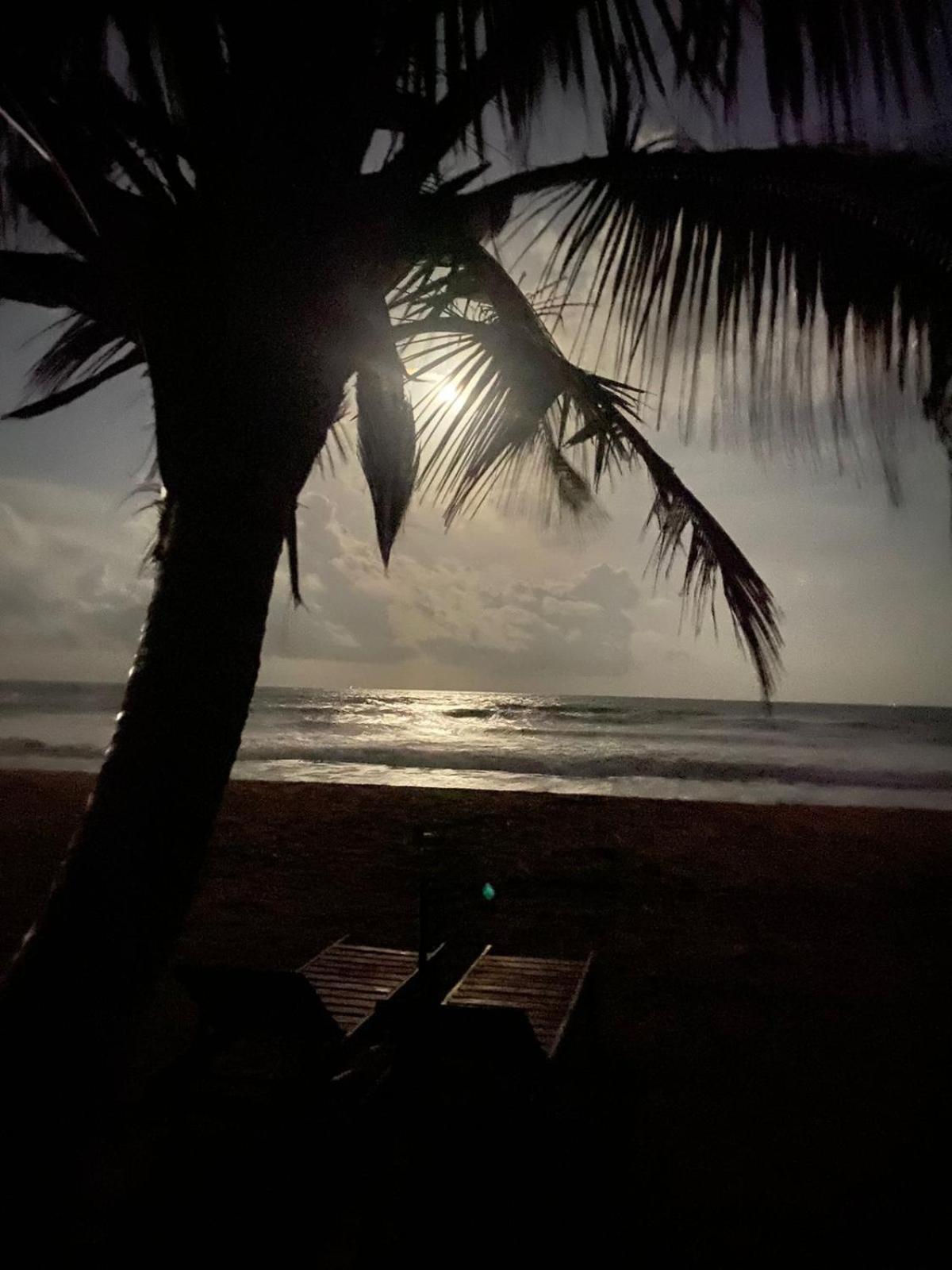 Coconut Bar Hotel Bentota Exterior photo