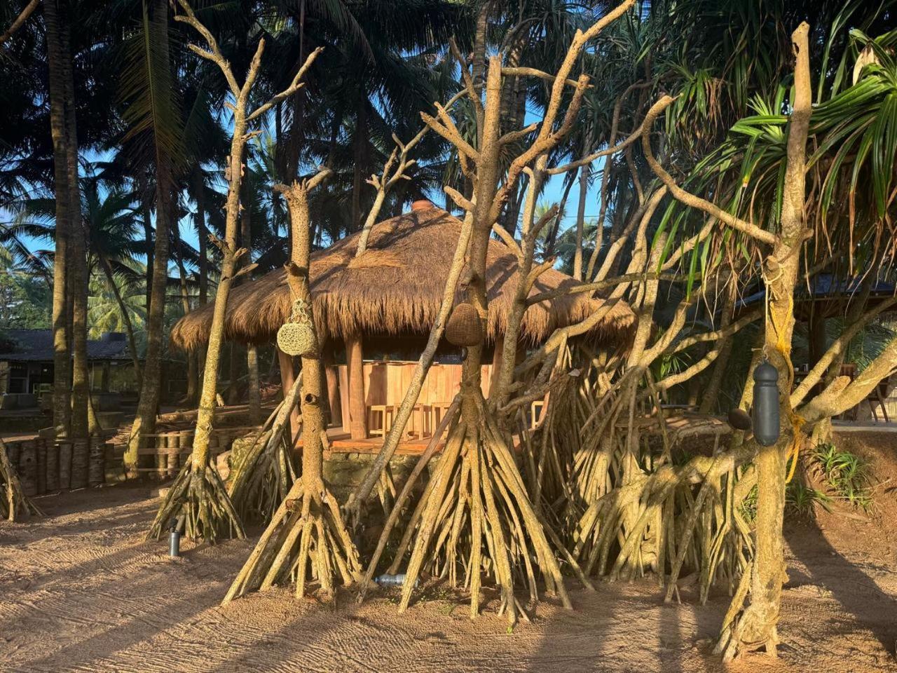 Coconut Bar Hotel Bentota Exterior photo