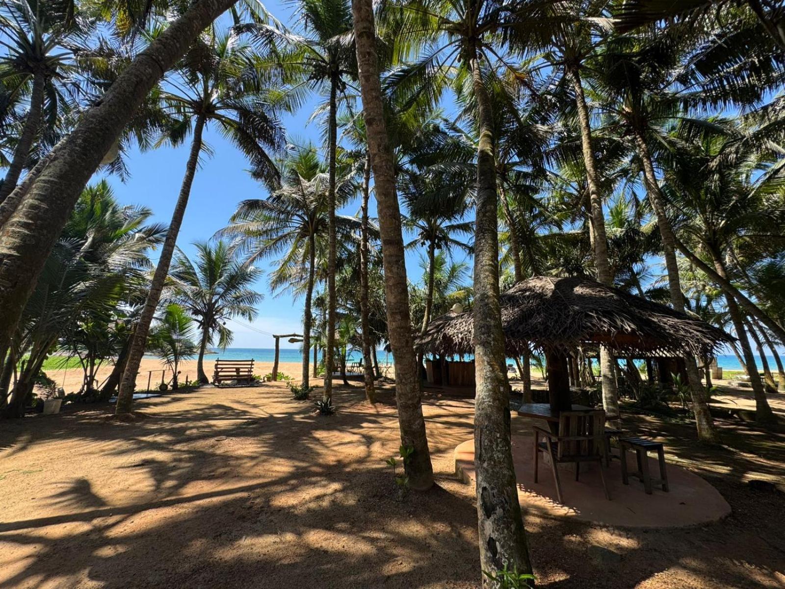 Coconut Bar Hotel Bentota Exterior photo